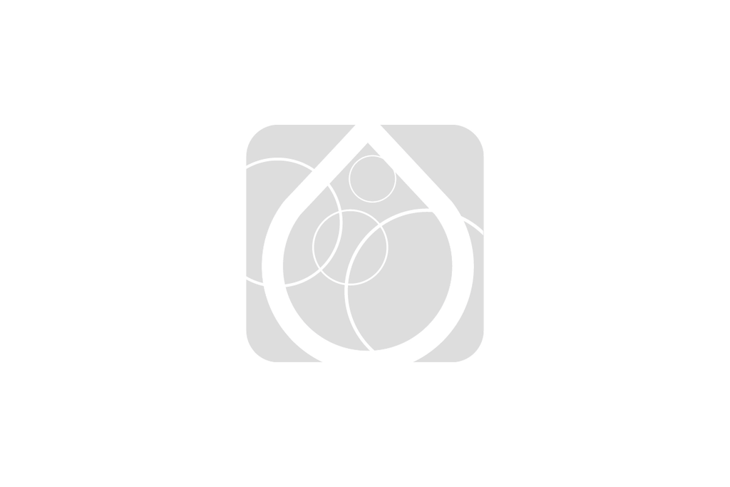 SEKO Clapet anti-retour Inox tube avec un embout 4x6